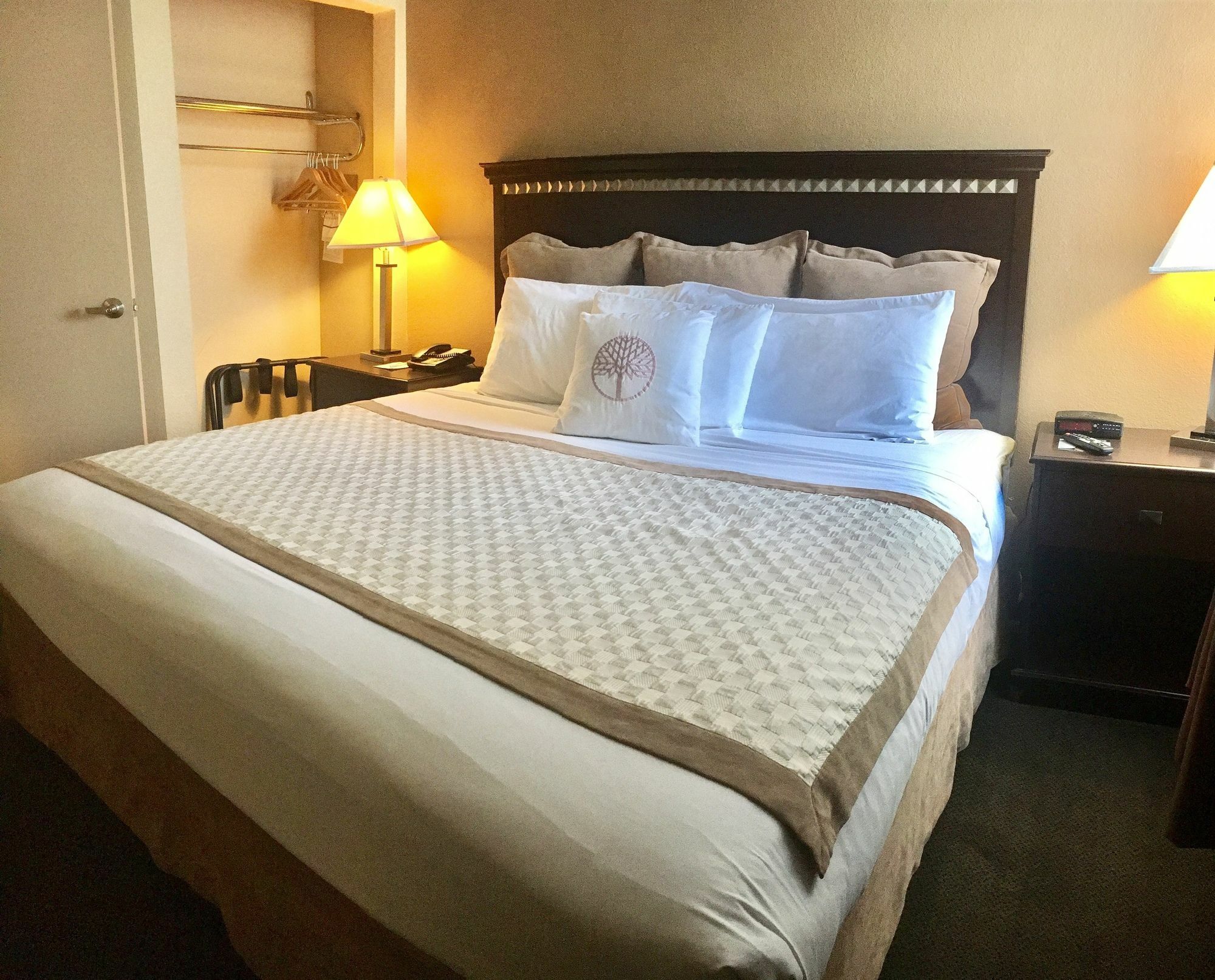 Hawthorn Suites By Wyndham Chandler Dış mekan fotoğraf